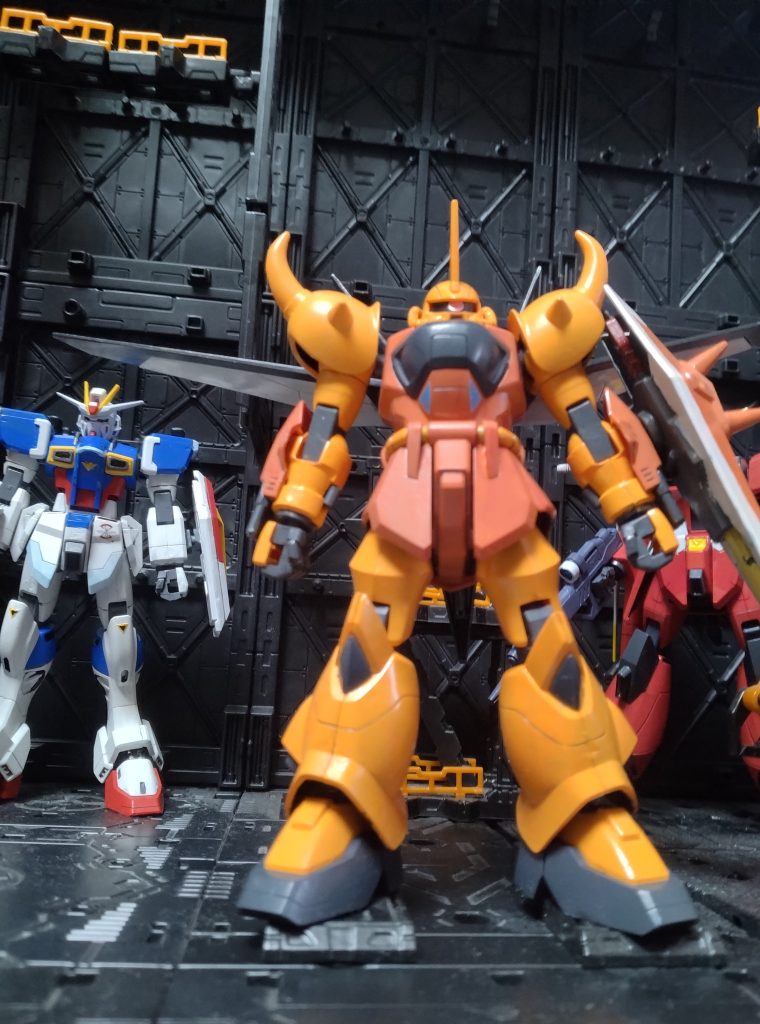 旧HGキットグフイグナイテッド