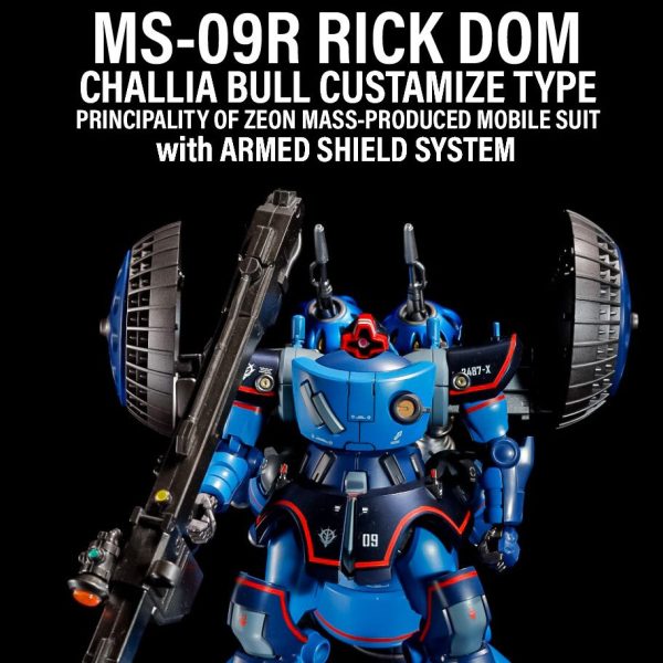 シャリア・ブル大尉専用リックドムGQ追加武装