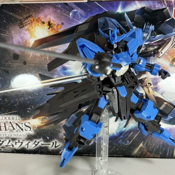 ヴィダール立つ！！