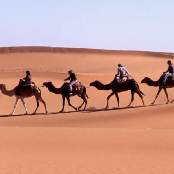 ドムトローペンを配置した状態です。背後の空けておいたスペースにコットンで砂煙を巻き上げます。足裏が地面から浮いた状態になっているので足元の砂の巻き上げ表現もリアルに表現出来そうです。砂の色はサハラ砂漠の様なピンク掛かった感じにしようと思います。写真の様なラクダのキャラバンをザクの手前に配置すると臨場感が出てくるのですが1/150のラクダが市販されて無さそうですね。やろうとしたら馬とかを使って改造するしか無さそです😅（5枚目）