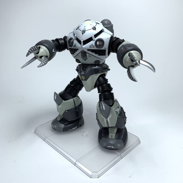 HG 1/144 ズゴック(シン・マツナガ専用機)