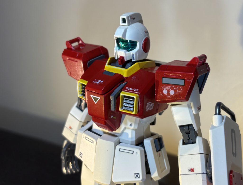 まぁ私がジム好きなだけなんです。