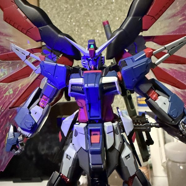 RG デスティニーガンダム