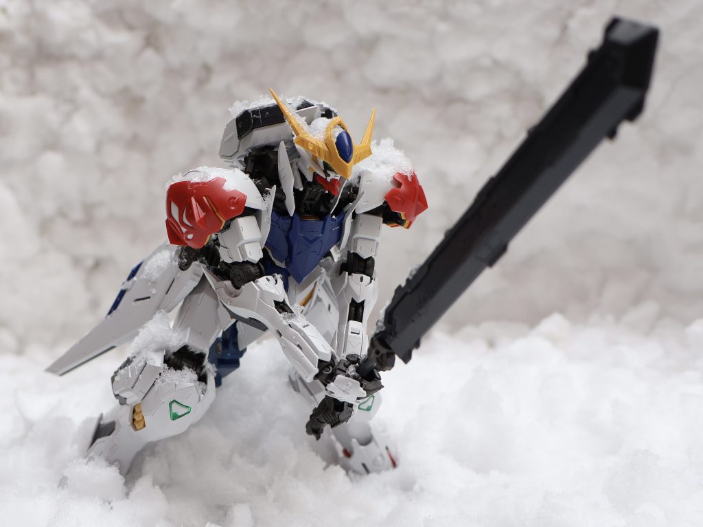 積もった雪の中で撮影しました。背景は雪を固めて作っています。