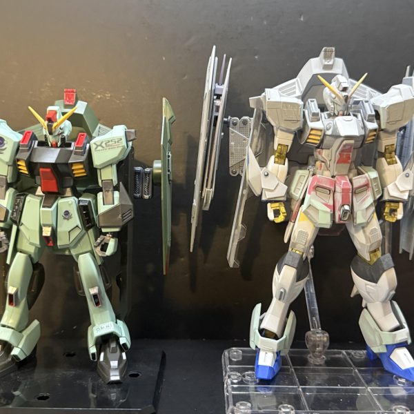 元キットのフォビドゥンと比べてだいぶイケメンになりましたね。いよいよ塗装作業に入れそうです。（2枚目）