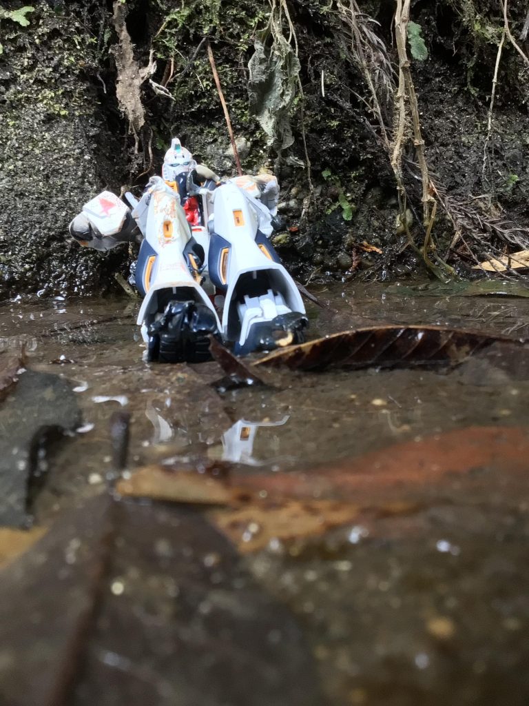 苔がとてもいい味を出しています！