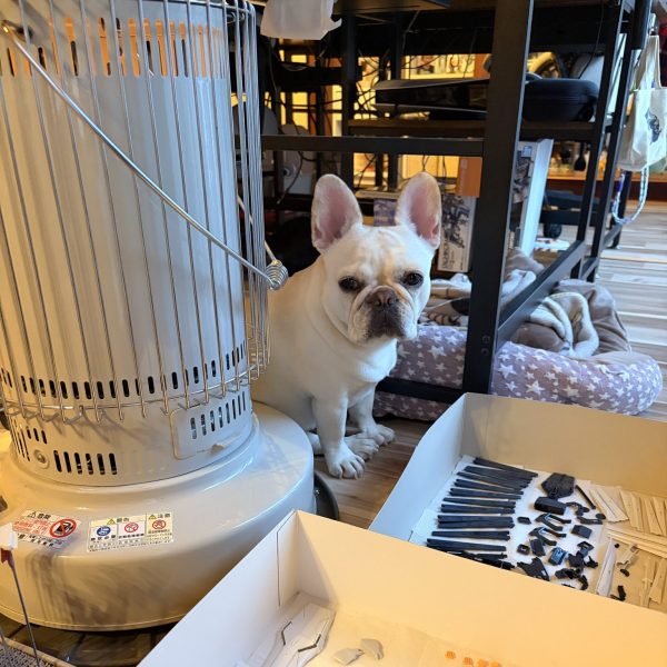 超音波洗浄機の威力