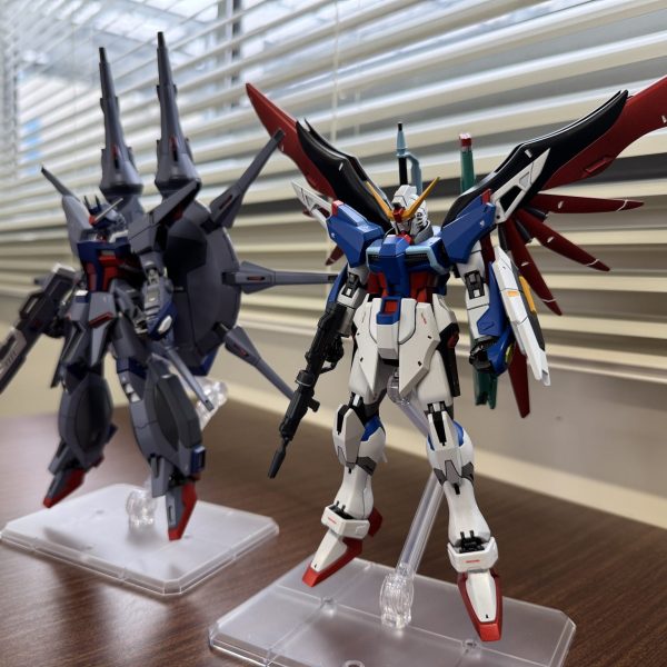 ディスティニーガンダムが嬉しそう