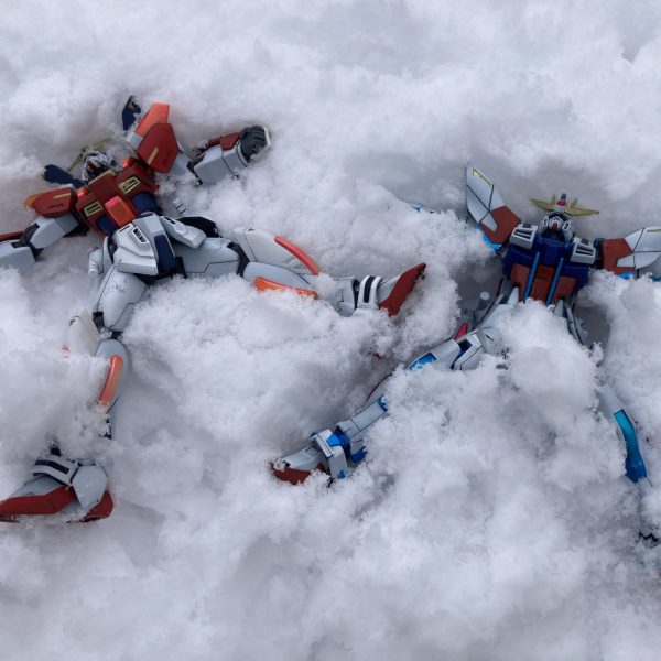 雪だよ！レイジ！