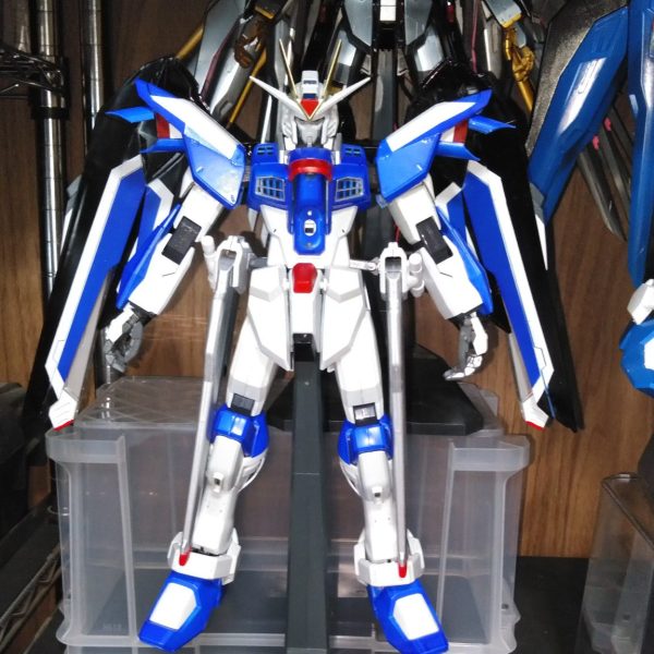 ライジングフリーダム　1/60