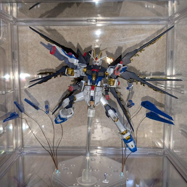 RGストライクフリーダム(RGの洗礼を受けて⁠ ⁠≧⁠Д⁠≦⁠)