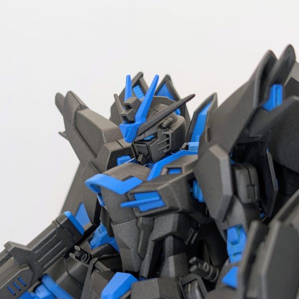 ライジングフリーダムガンダム　リサーキュレーションカラー