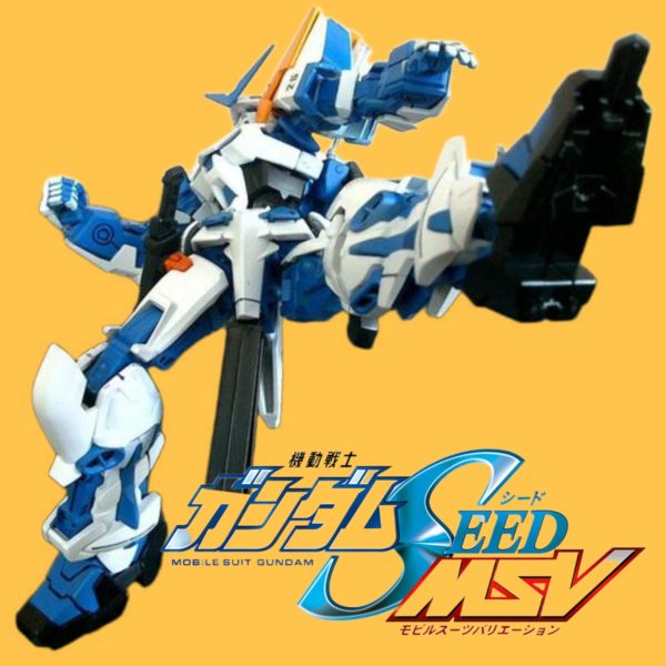 CEHG(新模型体)•ガンダムアストレイブルーフレーム2G