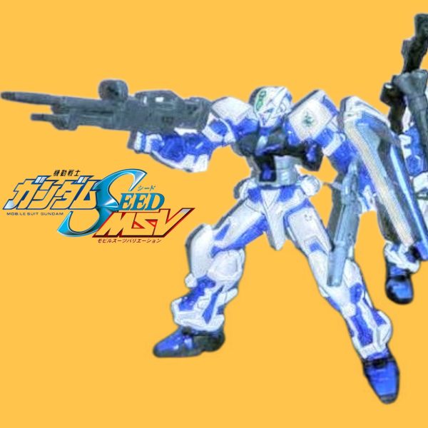 CEHG(新模型体)•ガンダムアストレイブルーフレームCS