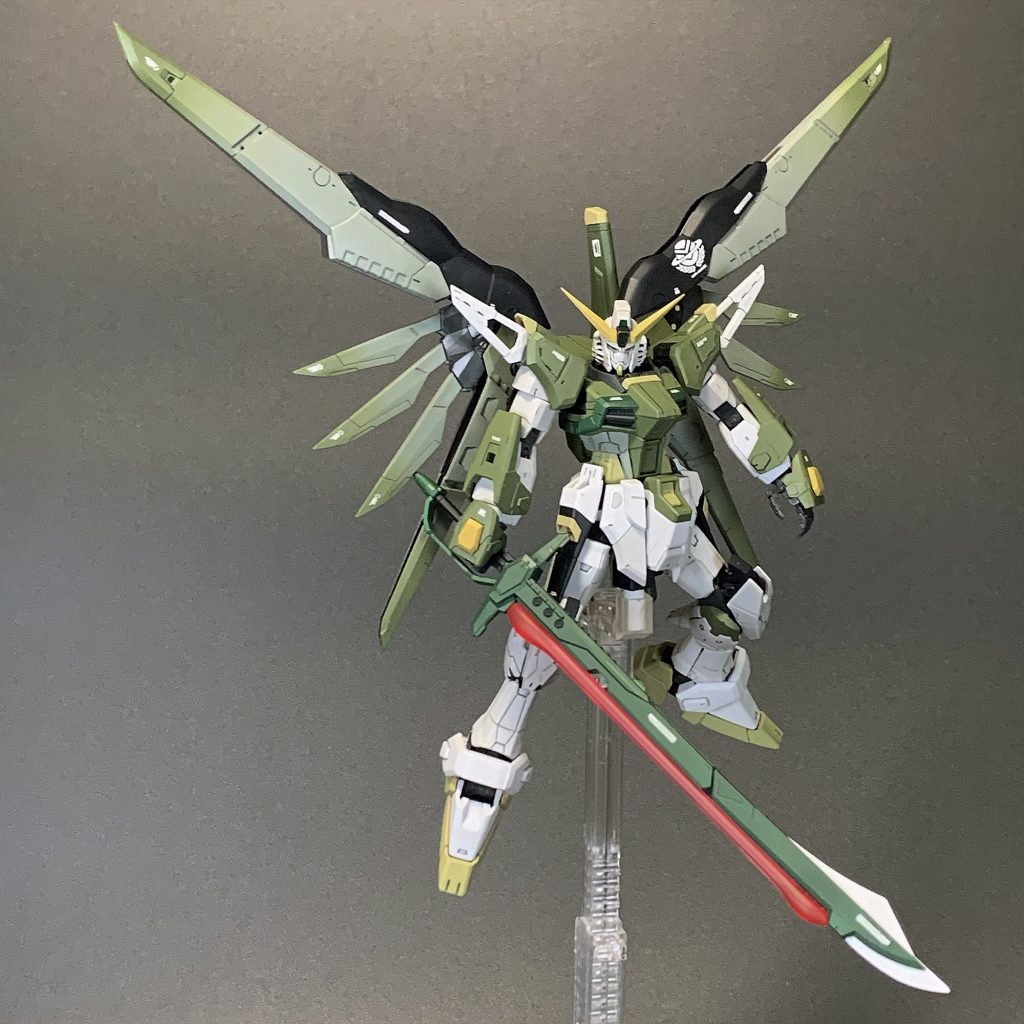 ZGMF-X42S デスティニーガンダム ミリタリーカラー RG 1/144–2枚目/制作者：むいち