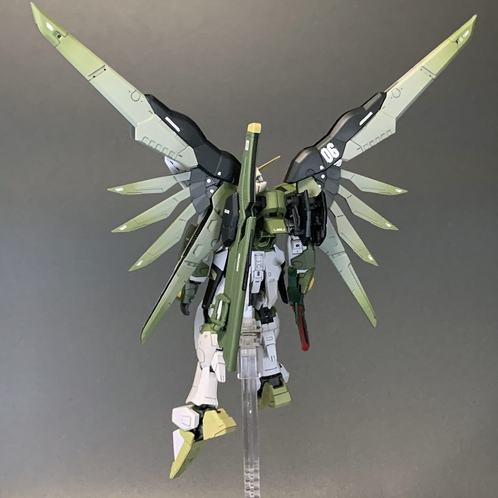 ZGMF-X42S デスティニーガンダム ミリタリーカラー RG 1/144–3枚目/制作者：むいち