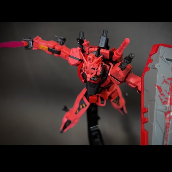 これが、念願の…赤いガンダム…！！