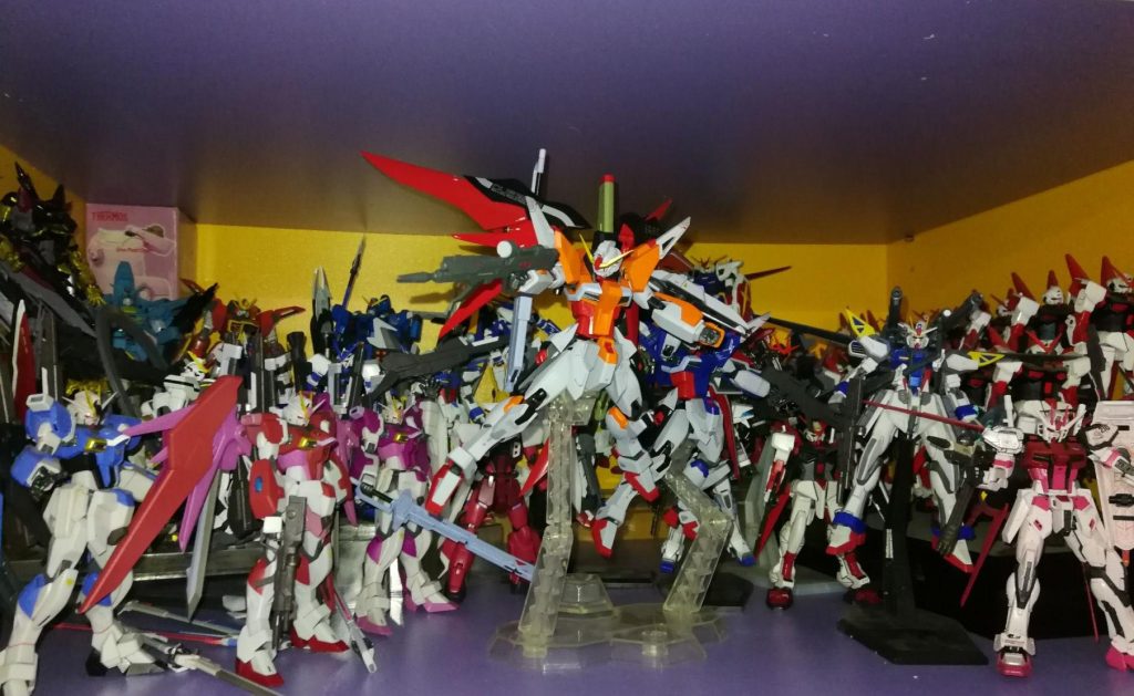 METAL ROBOT魂(重塗)-デスティニーガンダムハイネ専用機