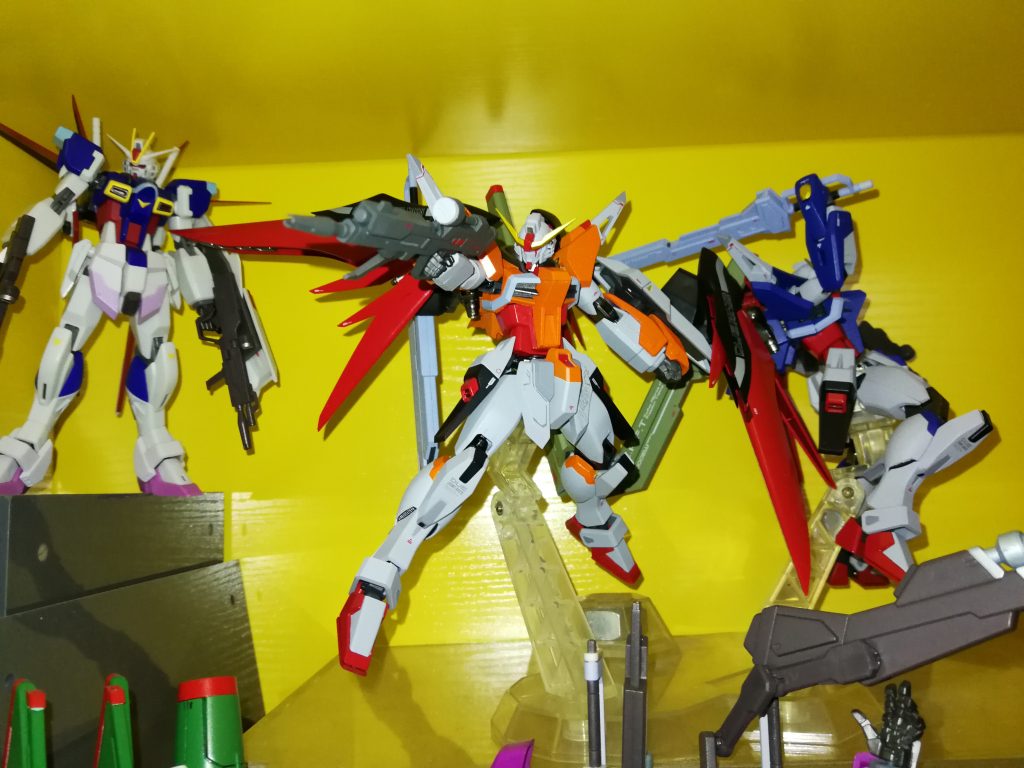 METAL ROBOT魂(重塗)-デスティニーガンダムハイネ専用機