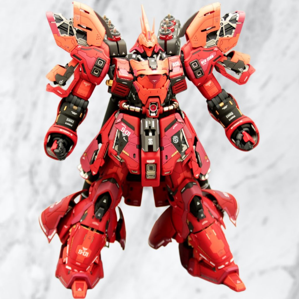 正面からのショット📷