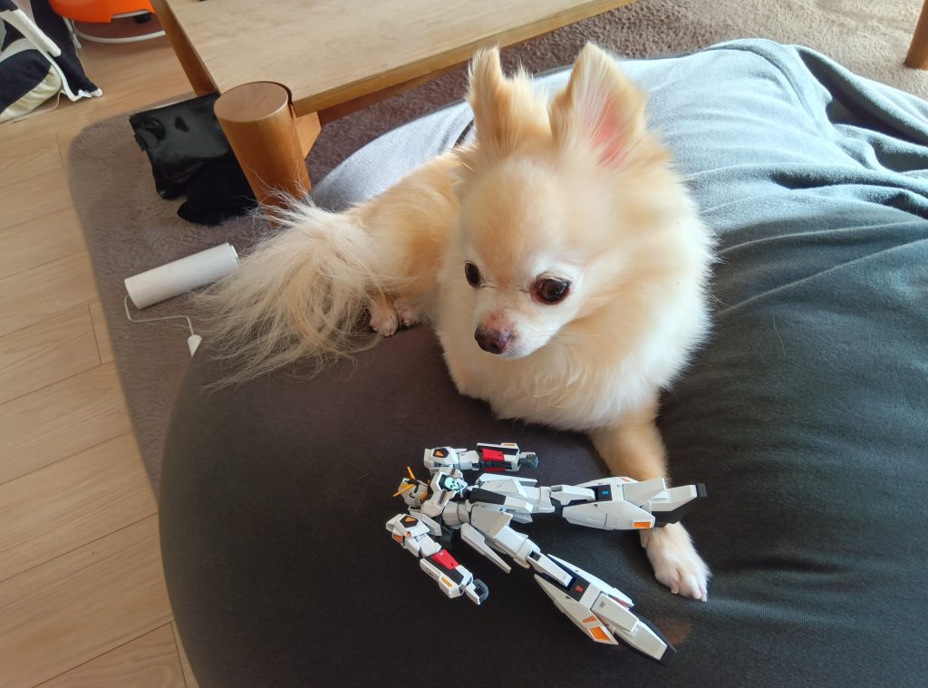 息子🐶にプレゼント