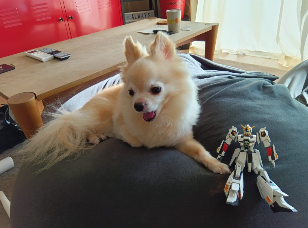 食えないなら要らんわ！と息子🐶💦