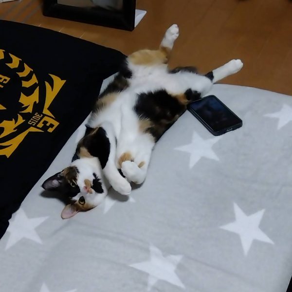 ますらおさんやMioさんのスクラッチに刺激され、作ろうか迷って作っていなかったものをスクラッチしてみました☺️キャノンの弾倉的なやつだと思ってくださいw画像②のようにキャノンの動きに合わせて連動させる予定ですが…撮影時にそれぞれ動かすでも良いかな？😅画像③のようになってまして1️⃣が2️⃣のように開閉し、3️⃣のように中から弾的なものが出てきて…4️⃣実はこれシャーペンの芯のケースなんです😁（4枚目）