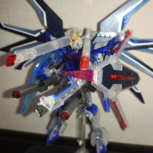 素組み　ライジングフリーダム