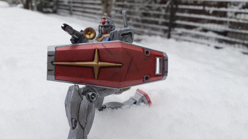 全て一月に撮った写真です