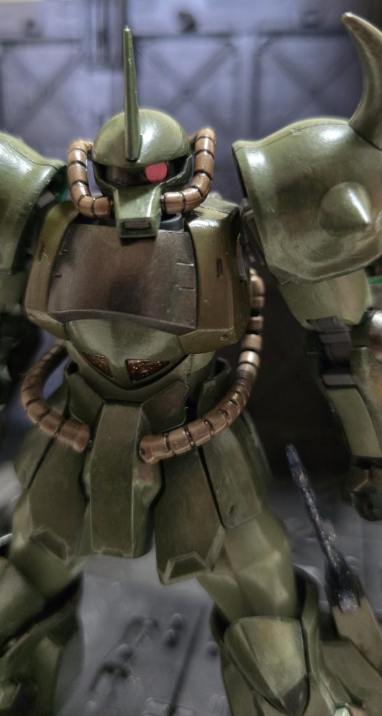 常に睨みを効かせて、周りを威嚇してます。これを俗に「ザフ睨み」と言うとか、言わないとか。