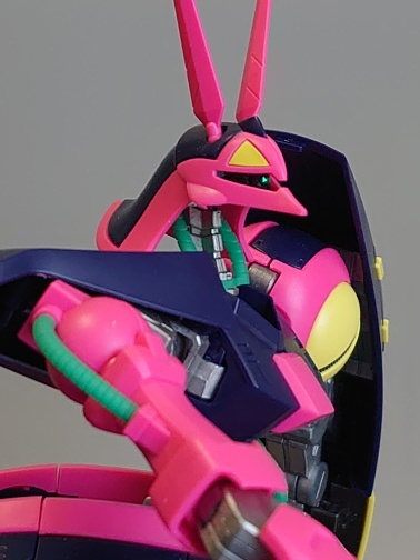 バウンドドック