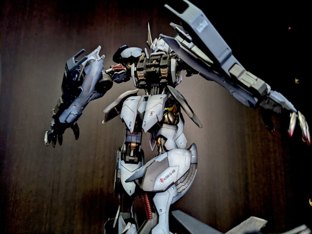 バックパックをつける前の背中です。つけてしまうと見えなくなりますので記念撮影、このマッシブな背中もたまらないですね。