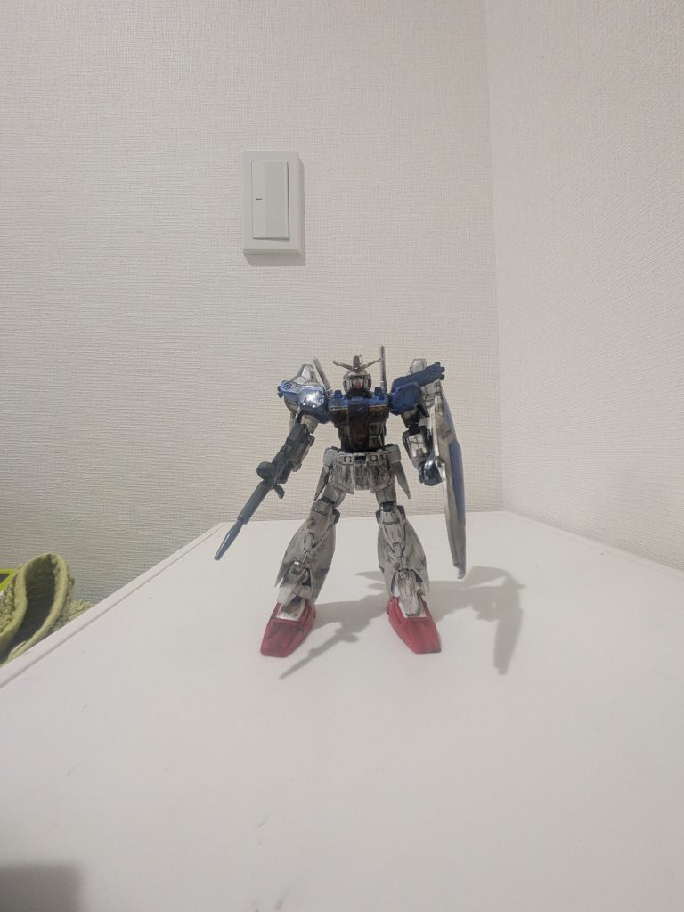 正面　胸辺りの炙りが今回の主の気に入った所です