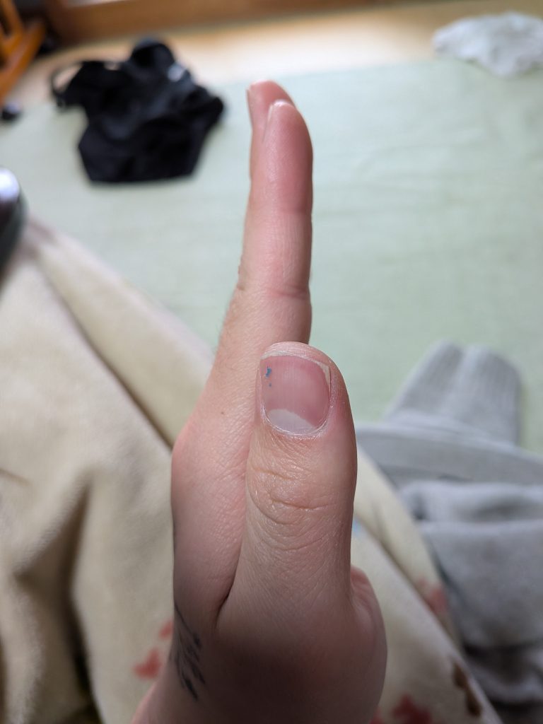 制作工程は写真撮るのうっかり忘れてました…申し訳ございません！