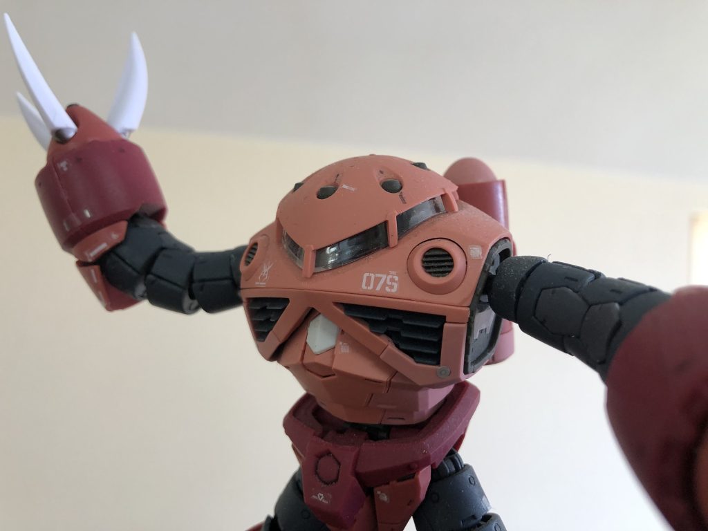 RG 1/144 MSM-07S シャア専用ズゴック