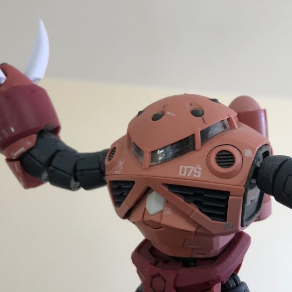 RG 1/144 MSM-07S シャア専用ズゴック