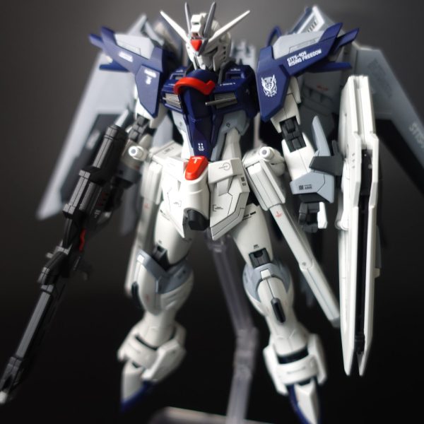 HG 1/144 ライジングフリーダムガンダム