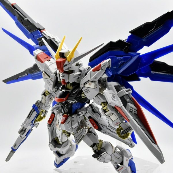 フリーダム いきます