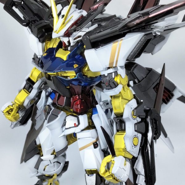 MGガンダムアストレイブルーフレームD