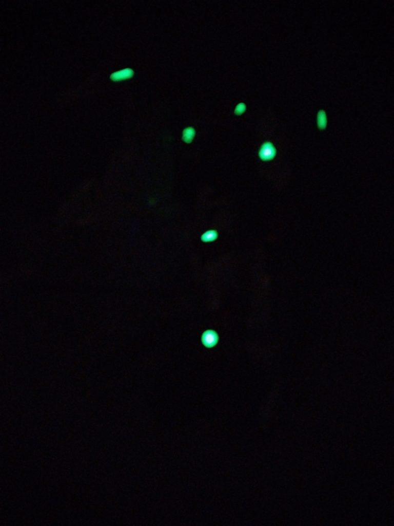 戦国アストレイ頑駄無&風雲再起–5枚目/制作者:ソンネン少佐