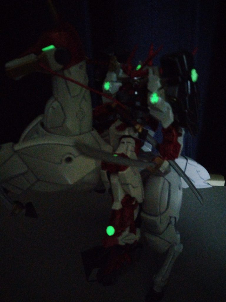 目は奥まっていて見えませんw