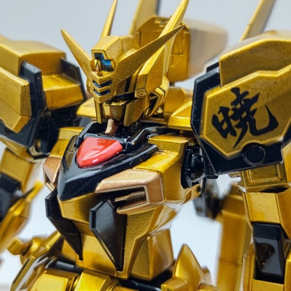 HG オオワシアカツキガンダム