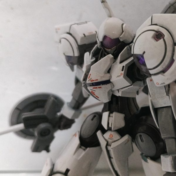 白いハインドリー