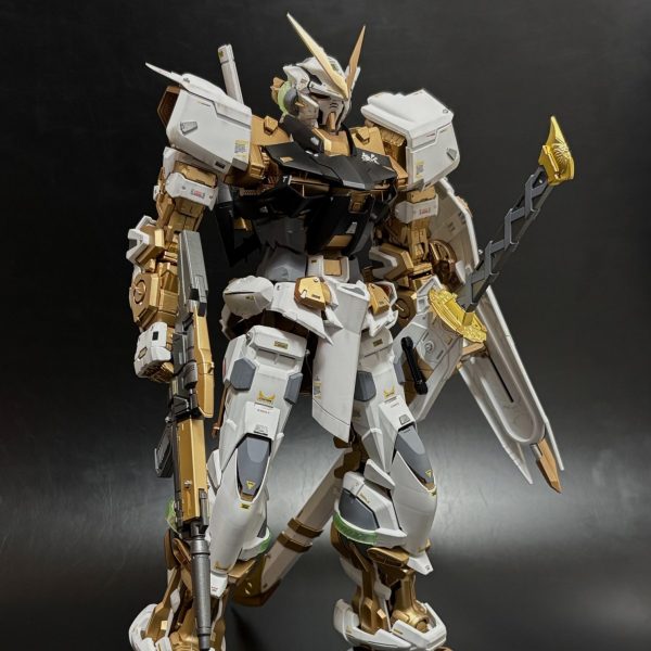 PG アストレイゴールドフレーム