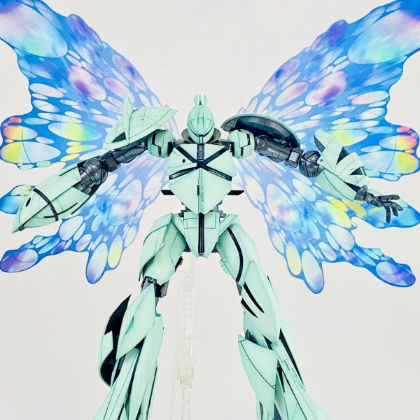 月光蝶である！！