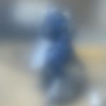 仕事などが忙しくて、なかなか進まなかった軍警ザクですが、なんだかんだで形になって[…]