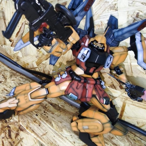 ハイネ専用ザクファントム