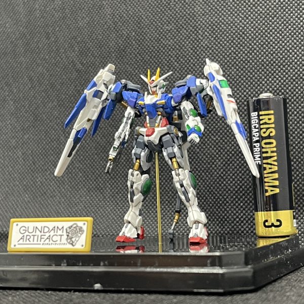 015 OO RAISER