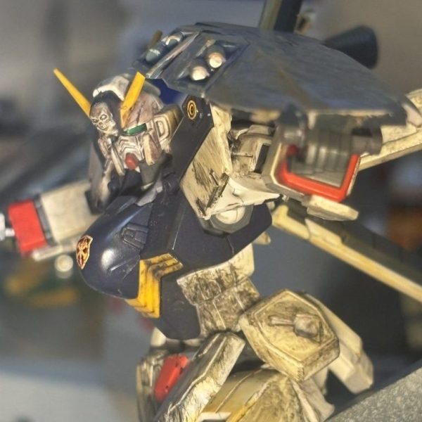 大海洋の海賊スカルヘッター