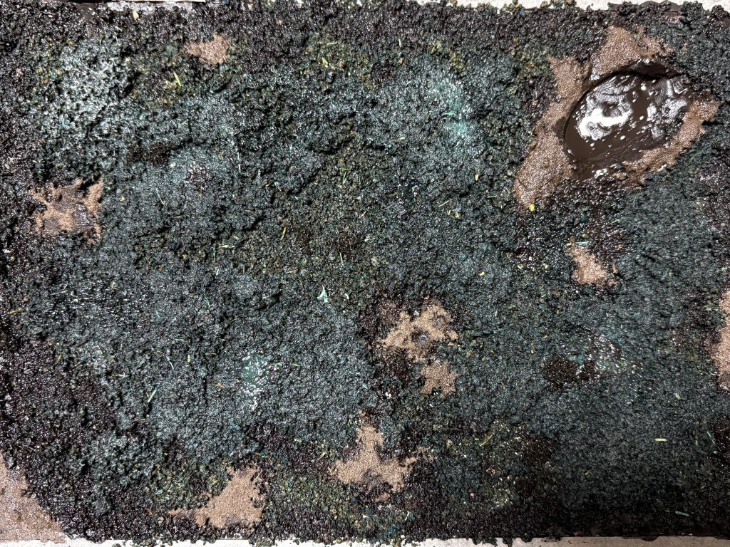 地面の製作には100均の油かすを使用しました！【レシピ】①油かすにアクリル絵の具(今回は暗めの緑)と適量の水を加えて混ぜ混ぜします。②全体に色味がついたら水で溶いたボンドを入れてまた混ぜ混ぜします。この時にある程度粘り気があった方がいいので、ボンドをあまり薄めすぎない方がいいかも③ボンドを塗った土台全体に油かすを塗りつけるように置いていきます。④大体15-20分ほど置いたら凹凸をつけるようにバランスを見ながら油かすを再度盛っていきます。表面を湿った感じにしたい場合は油かすにウェザリングペーストのウェットクリアーを適量混ぜるといい感じになると思います。⑤乾燥したらウェザリングカラーのグランドブラウンをスポイトで陰影などをつけたいところに垂らしていきます。⑥お好みでテクスチャーペイントを使ってアクセントを入れてみてもいい感じです。&nbsp;ただこの油かす、保存環境などによって虫が湧いたりするそうなので注意が必要と教えてもらいました…笑笑わたしは余った油かすはすぐ破棄、ジオラマに使用したものは1ヶ月ほど経ちますが特に虫が湧いたり変わった様子はありません！